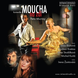 Moucha na zdi